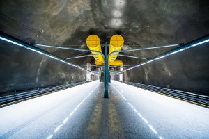 13415685_1169327349786035_8003162258793810977_o