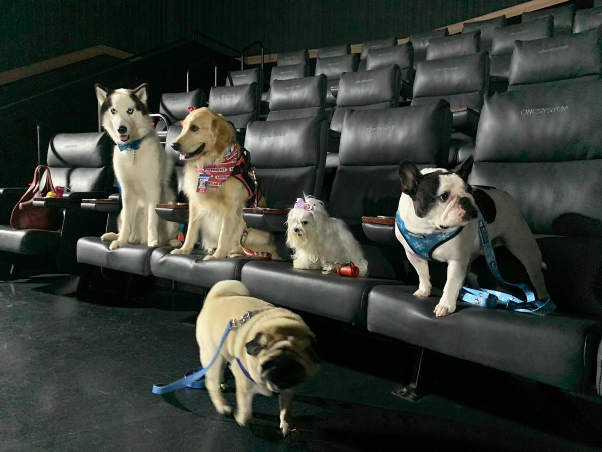 Cine Pet 2