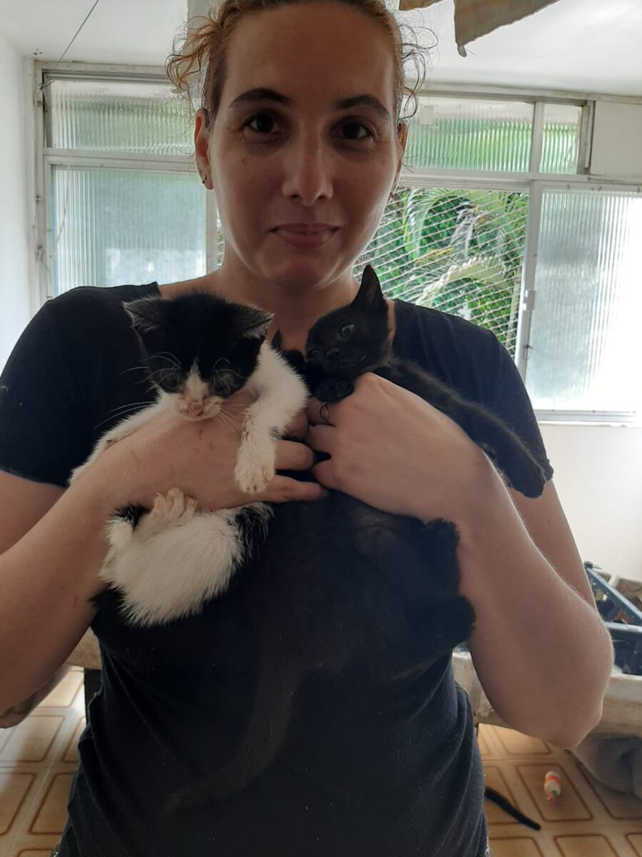 069d998b 5257 4a82 9699 Dc494905cb18