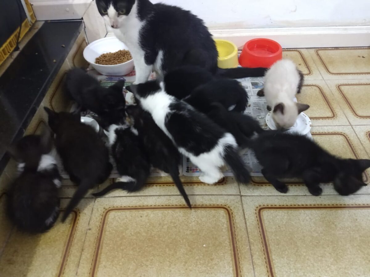 D08b75d7 67b7 4764 9e17 936307c8036a