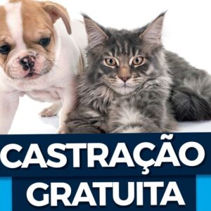 Castracao