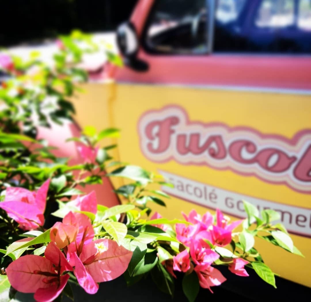 Fuscole3