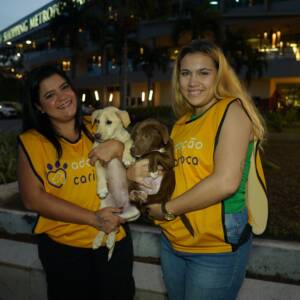 Met Feira De Adocao Pet 2 Divulgacao