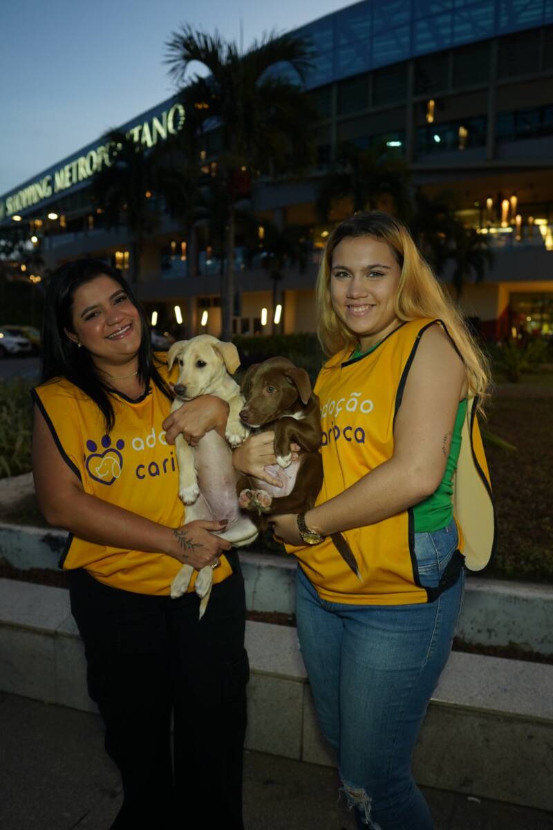 Met Feira De Adocao Pet 2 Divulgacao