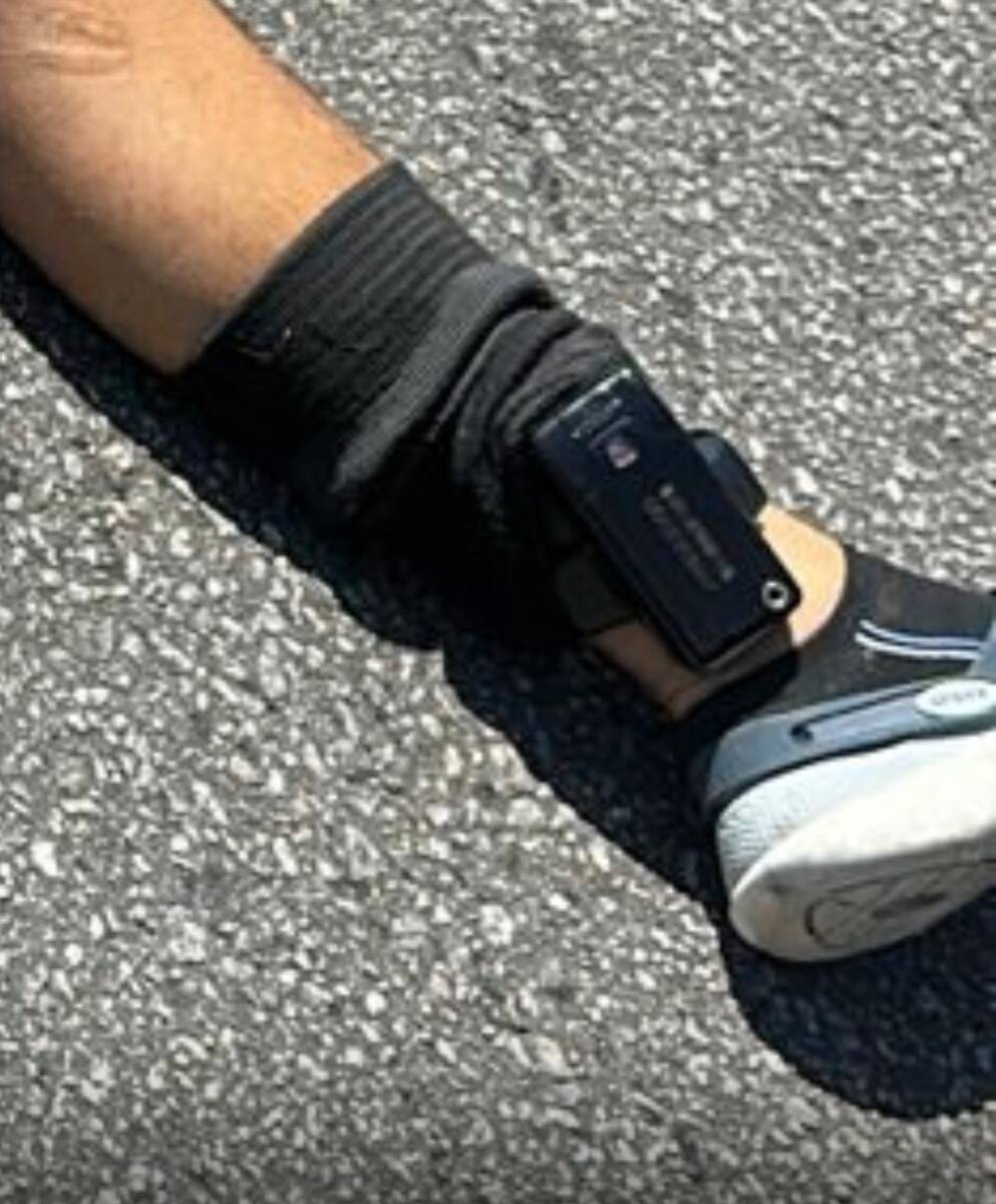 D1ca4e33 D0ce 429c 819e 6f06f6bd84bd