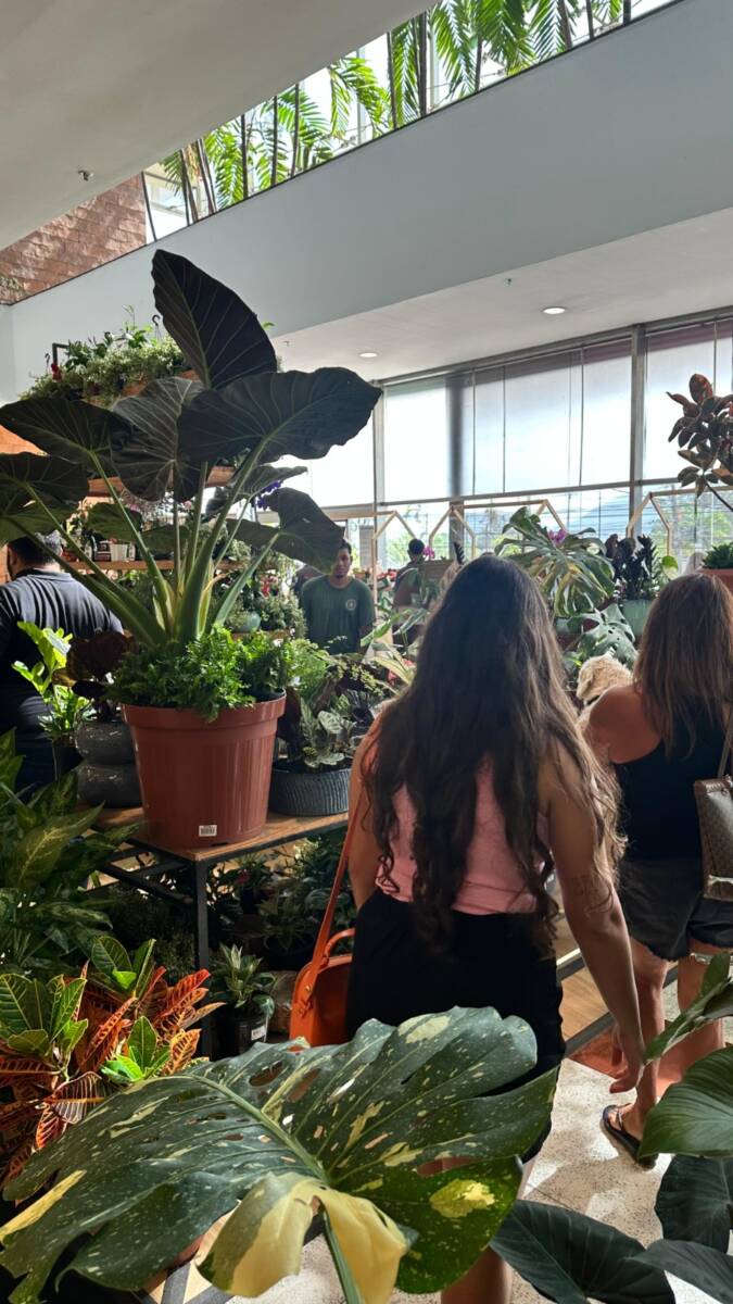Primavera Verde No Americas Shopping 2