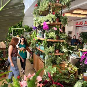 Primavera Verde No Americas Shopping