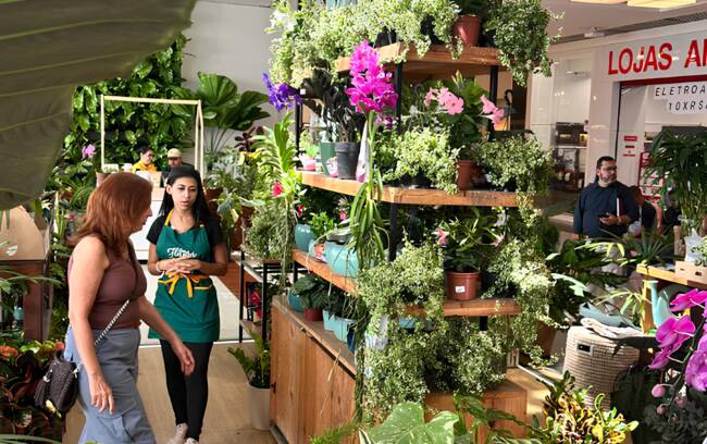 Primavera Verde No Americas Shopping