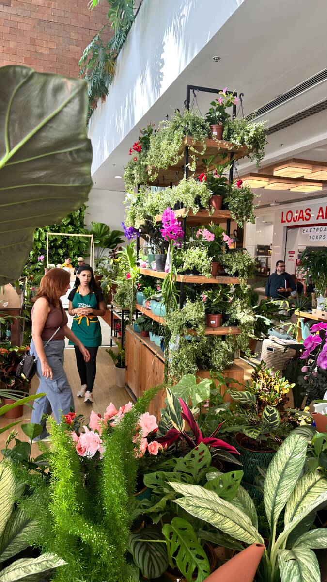 Primavera Verde No Americas Shopping